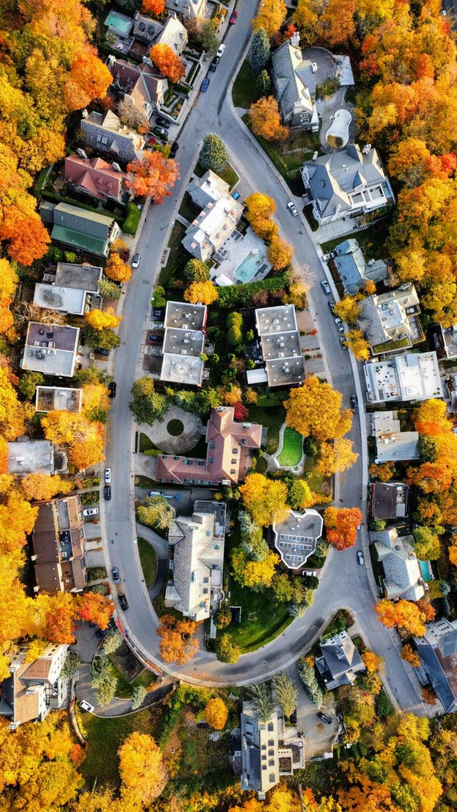 Aerial view of a residential neighborhood with curving streets, large homes, and colorful autumn trees, illustrating planned community layout and landscape design.