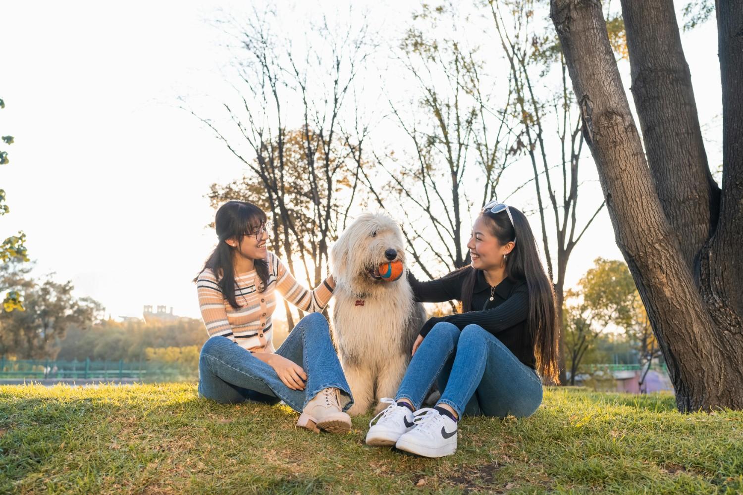 Two residents sitting on grass with a large dog in a park, highlighting pet-friendly shared spaces in a townhome HOA community.