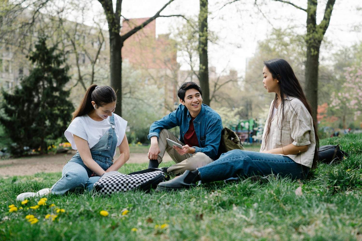 Residents gathering in a Denver park to connect and socialize.