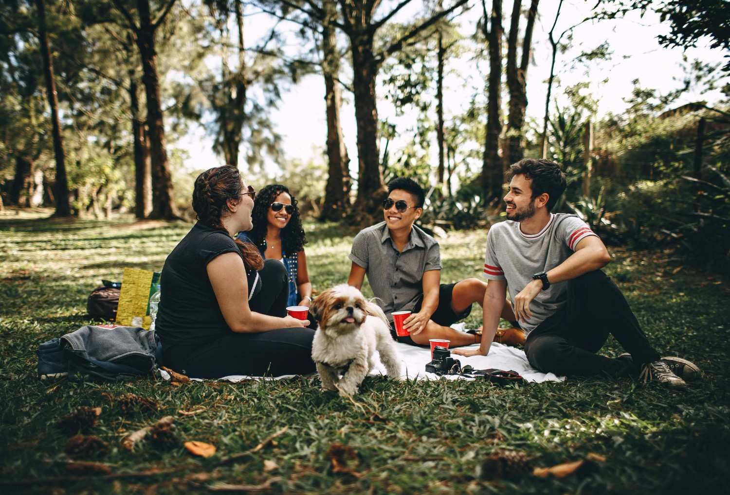 Residents enjoying time together in a neighborhood park, reflecting a vibrant and well-managed HOA community.