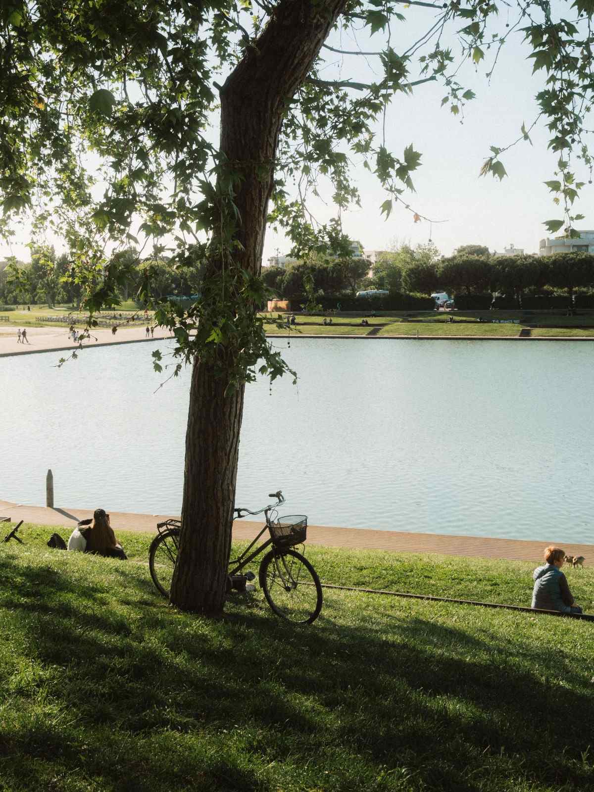 Peaceful waterfront residential community with shaded green space, mature trees, and a bicycle beside the water.